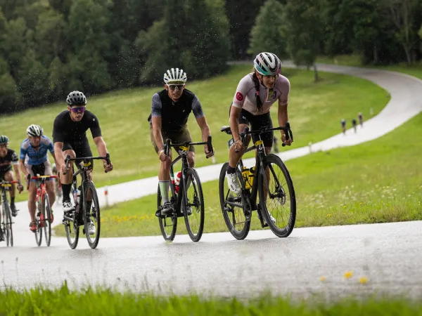 Nervový systém jako klíčová složka v cyklistickém tréninku