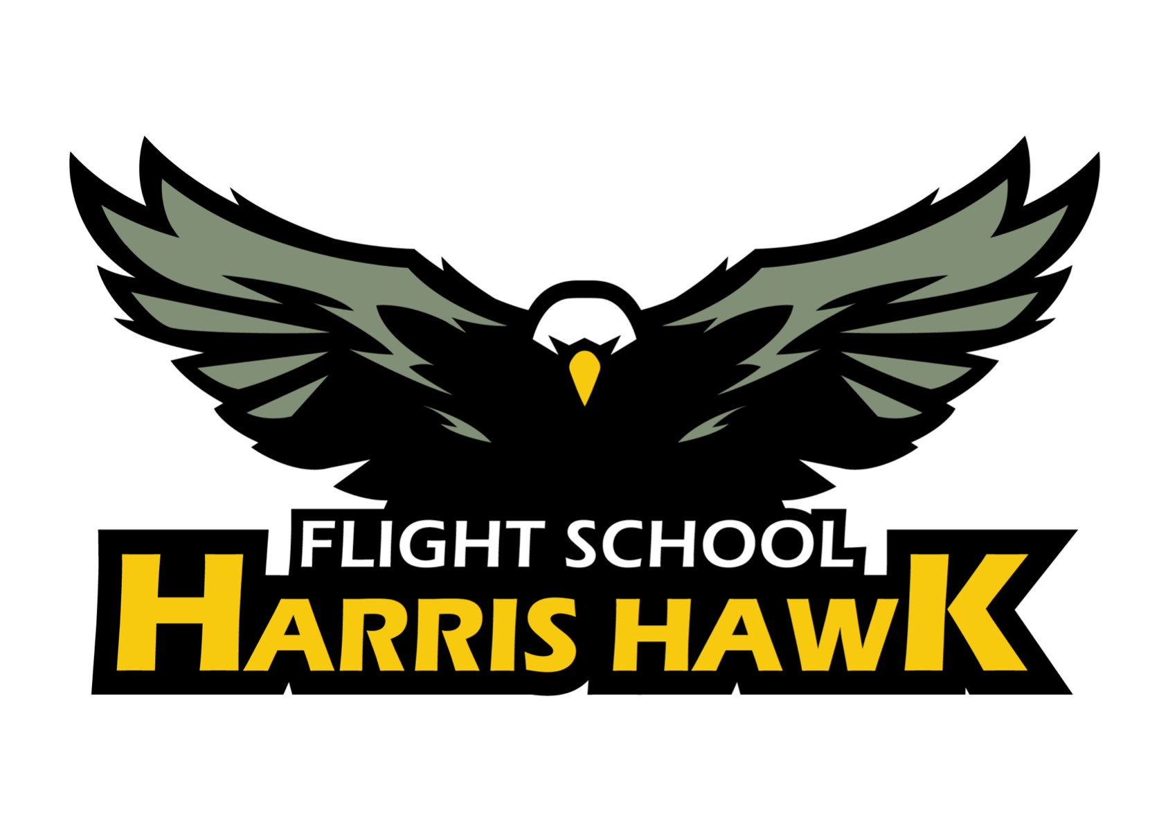 Harris Hawk flight school